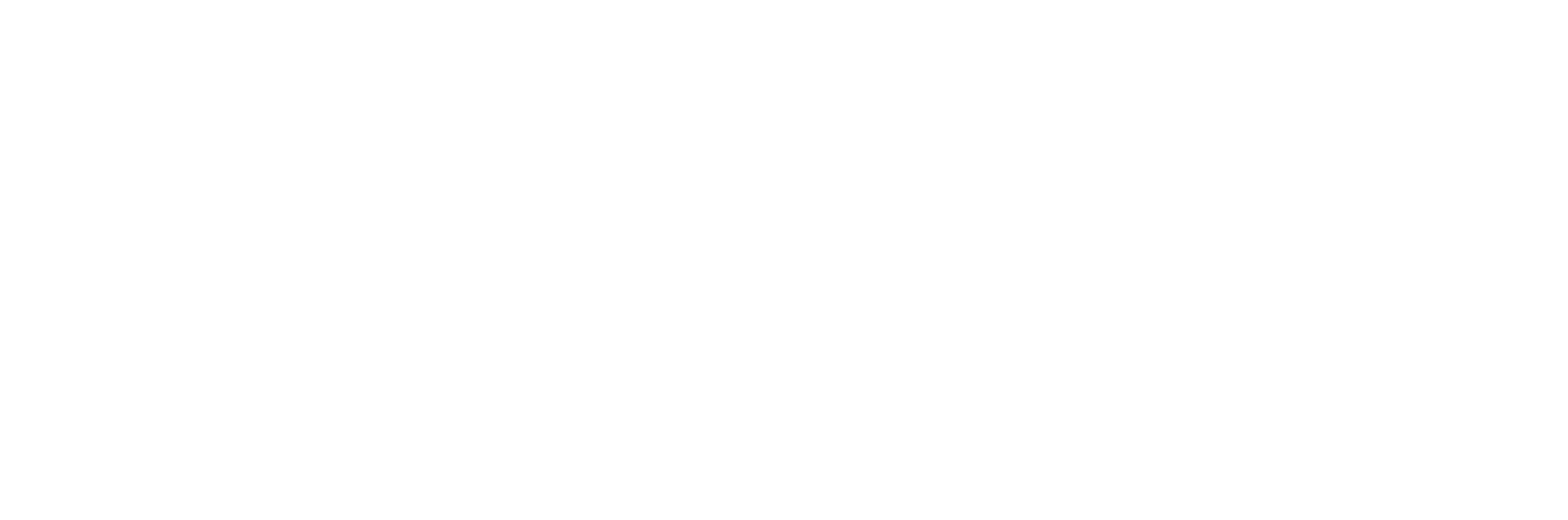 Lise de Munck – Fluitiste – Docente